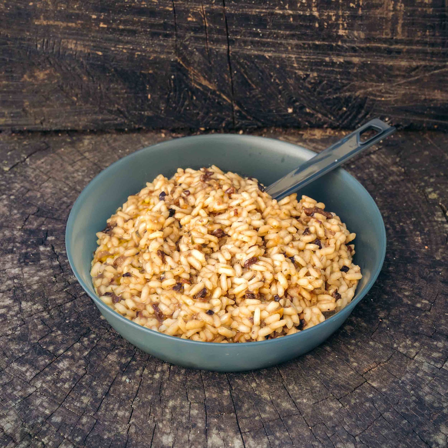 Risotto ai funghi porcini